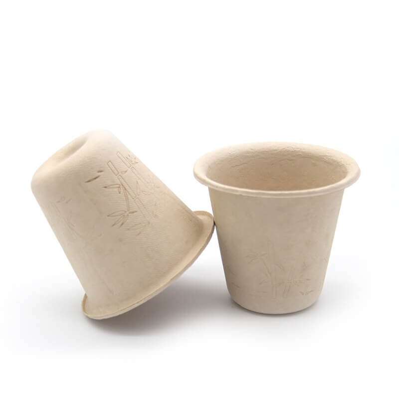 Disposable bamboo Coffee Cup
